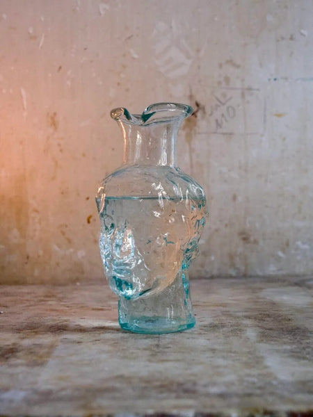 ROMA AVEC BEC TRANSPARENT